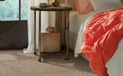 Shaw Premium Carpet $1.59 – Carpets Plus Sale